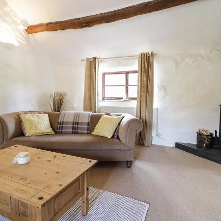 Cyffdy Cottage - Arenig, Bala Exteriör bild