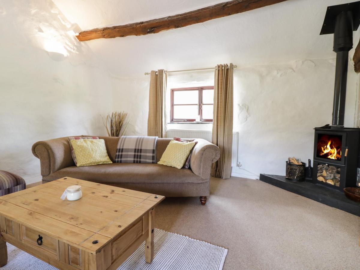 Cyffdy Cottage - Arenig, Bala Exteriör bild