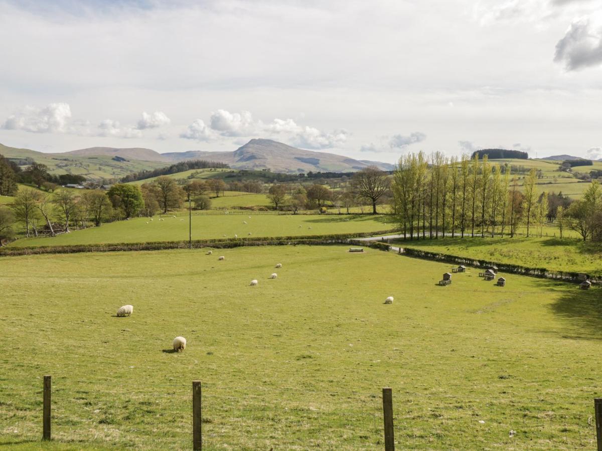 Cyffdy Cottage - Arenig, Bala Exteriör bild