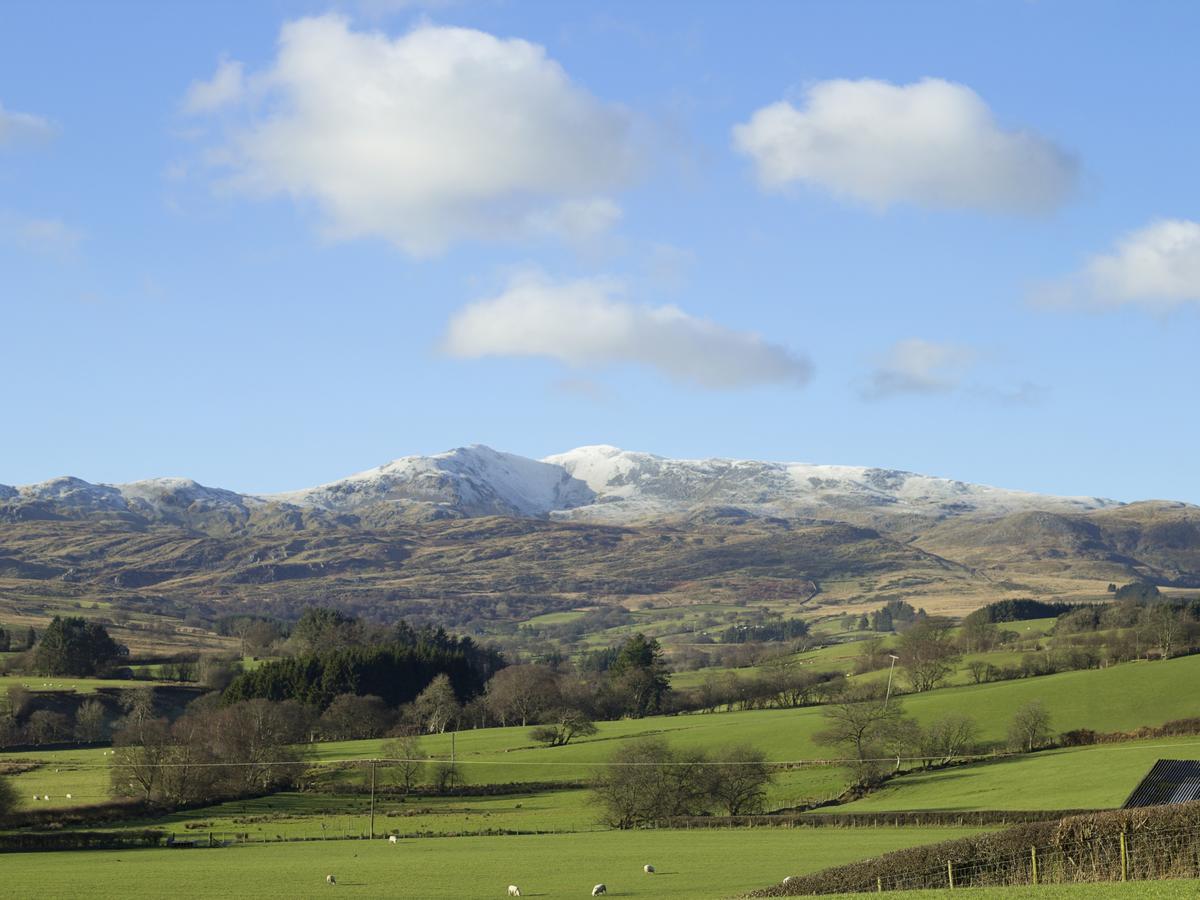 Cyffdy Cottage - Arenig, Bala Exteriör bild